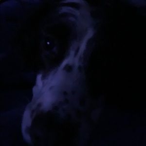 Meet your Posher, Kerry